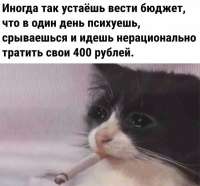600x559