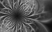 1600x1000