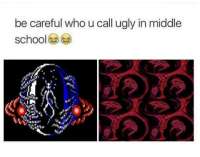 480x379