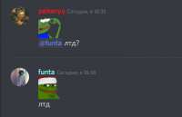 394x255