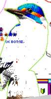 306x589
