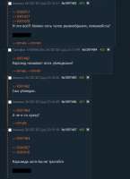 533x732