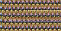 1273x648
