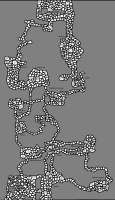 1024x1770
