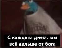 1080x842