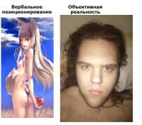 678x597