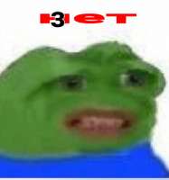 338x360