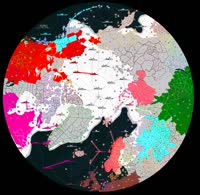 736x720