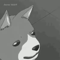 480x480