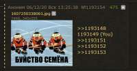 446x232