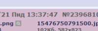 202x65