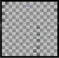 800x788