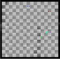 800x788