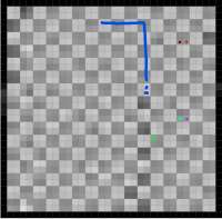 800x788