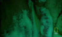 1000x600