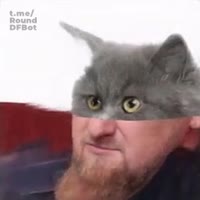 256x256