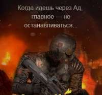 532x500