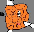 141x135