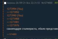 334x224