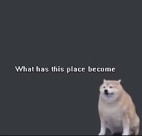 376x360