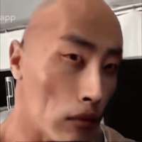 498x498