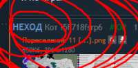 230x113