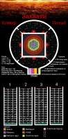 2048x4160