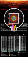 2048x4160