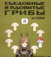 1336x1488