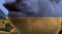 640x360