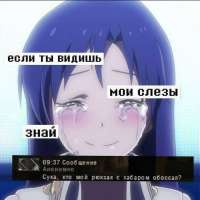 604x604