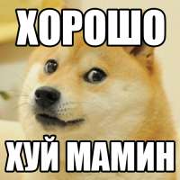 500x500