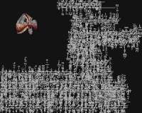 300x240