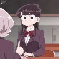 736x736