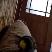 360x360