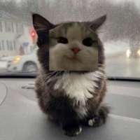 380x380