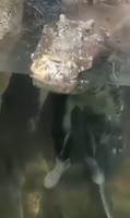 360x602