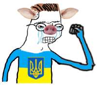 456x423