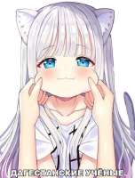 544x714