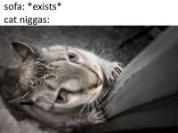 800x600