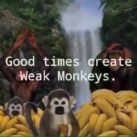 360x360