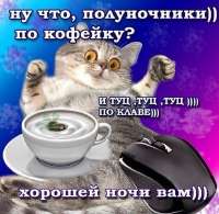 510x499
