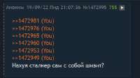 456x257