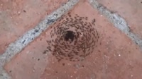 400x224