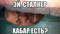 592x337