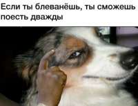 480x369