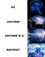 449x565