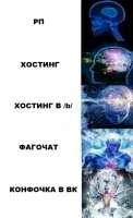 448x731