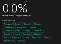 480x350