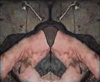 600x493